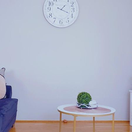 Cosmopolitan Apartament Z Bezplatnym, Prywatnym Parkingiem W Hali Garazowej Stary Toruń المظهر الخارجي الصورة